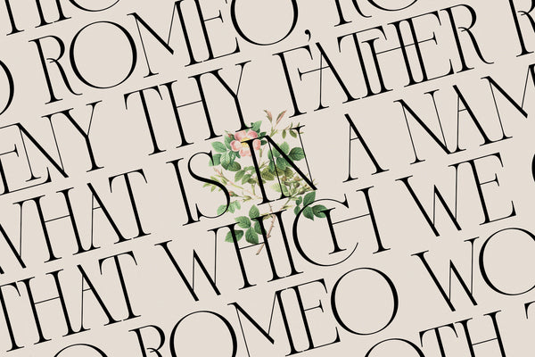 French Voyager - Chic Ligature Serif