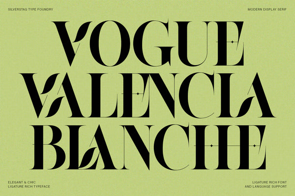 Raving - Editorial Display Serif Font