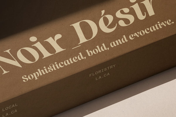 SLTF La Mystère - High Contrast Serif Font for Editorial Design