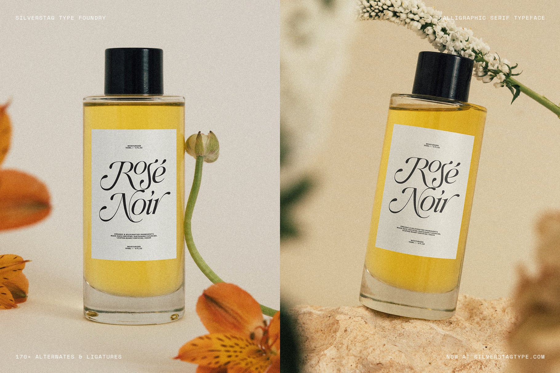 SLTF Netsera - Calligraphic Serif Typeface