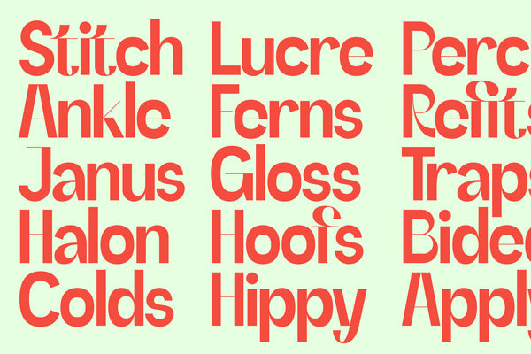 SLTF Refugio - Modern Grotesk Font