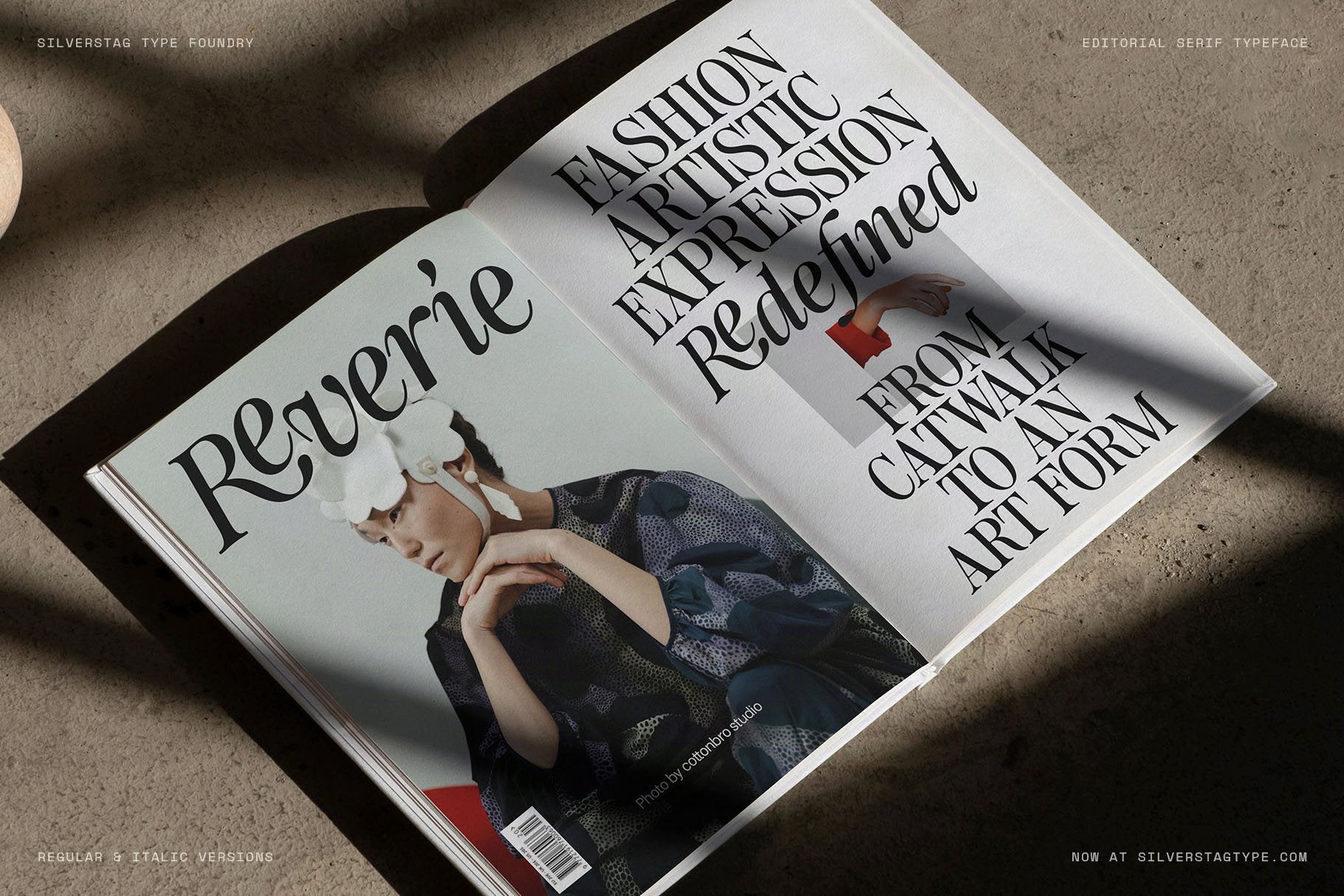 Reverie fashion magazine spread in SLTF The Brachen, the headline Artistic Expression Redefined and From Catwalk to Art Form over a model photo