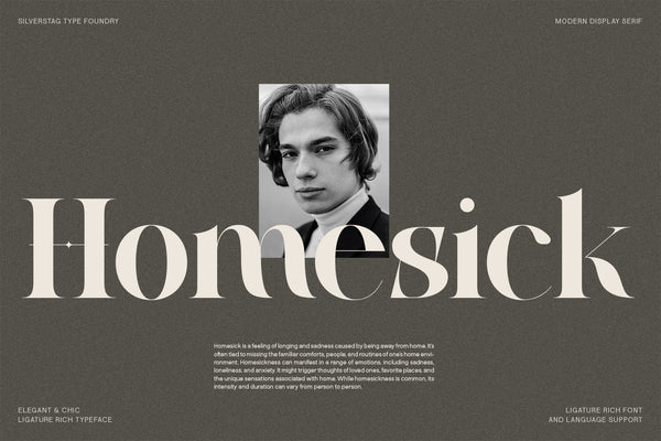 Raving - Editorial Display Serif Font