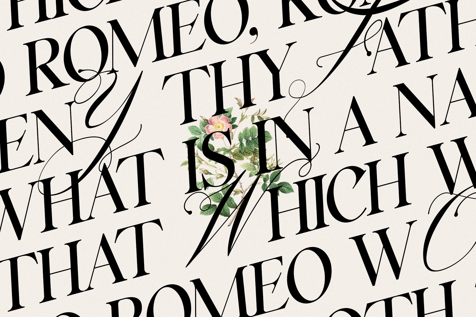 Silver Garden - Nostalgic Font Duo