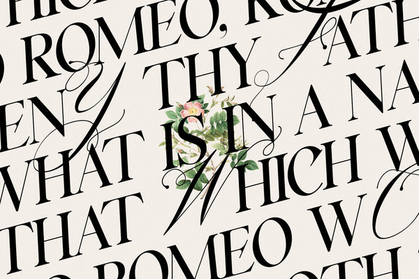 Silver Garden - Nostalgic Font Duo