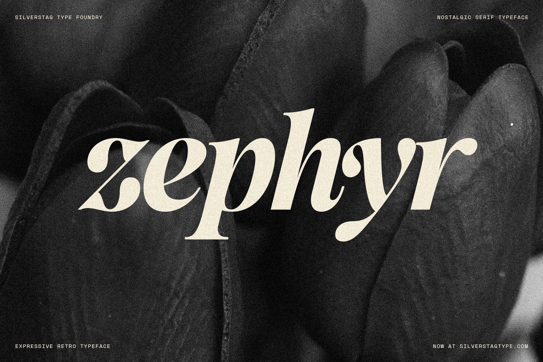 SLTF La Mystère - High Contrast Serif Font for Editorial Design