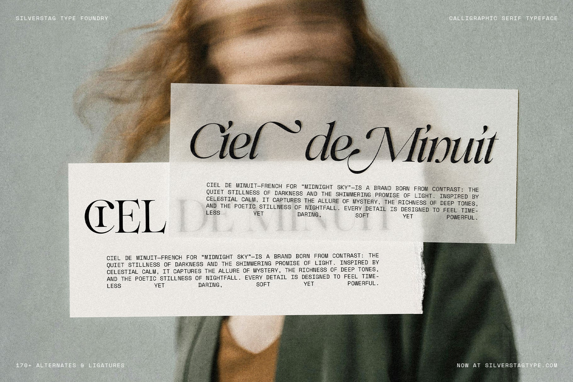 SLTF Netsera - Calligraphic Serif Typeface