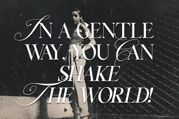 Silver Garden - Nostalgic Font Duo