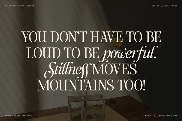 SLTF The Loneta Editorial - Calligraphic Editorial Serif