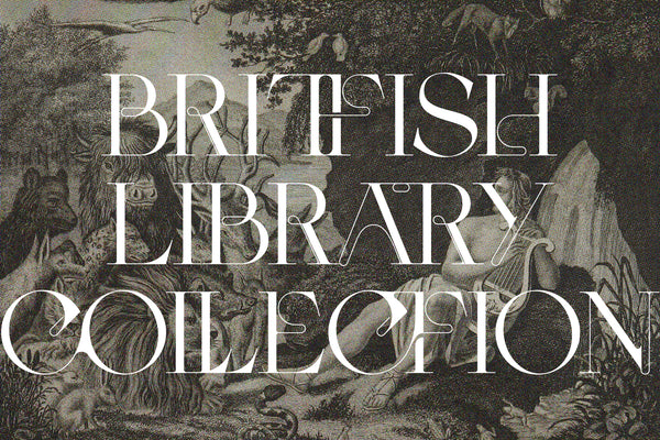 CEZANNE - Modern Ligature Serif Font