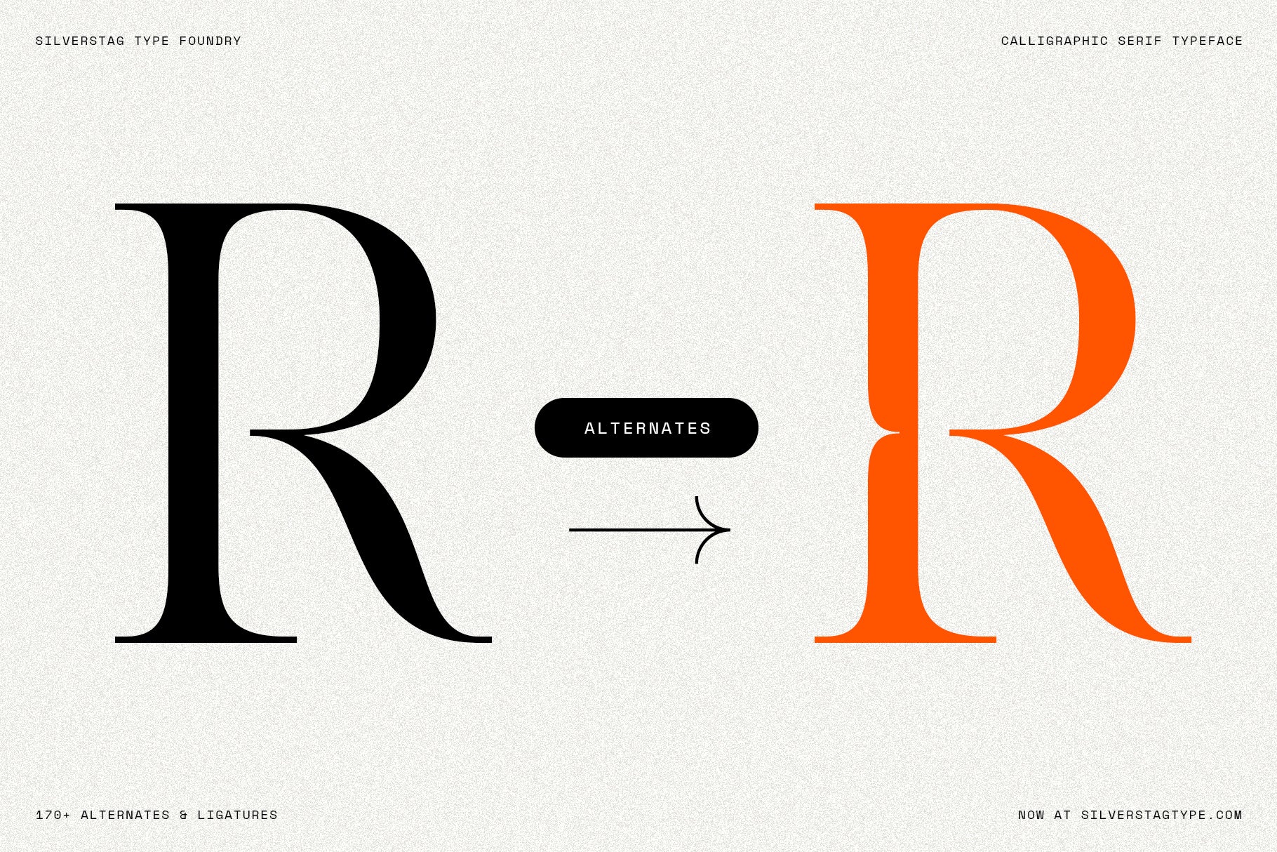 SLTF Netsera - Calligraphic Serif Typeface