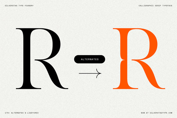 SLTF Netsera - Calligraphic Serif Typeface