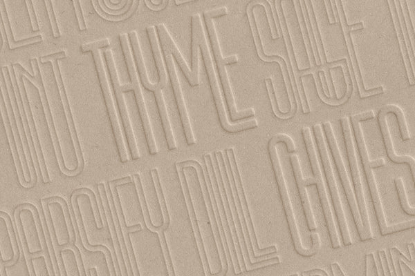First Contact - Ultra Condensed Typeface (16 Fonts)