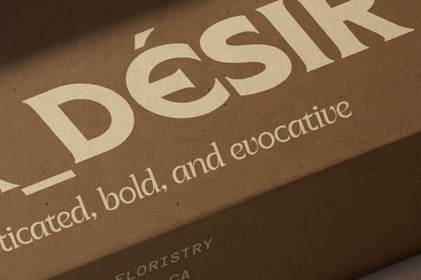 SLTF Arcilla in the Désir brand — an extreme close-up of a kraft packaging box with the cropped wordmark DÉSIR in Bold and the subline sophisticated, bold, and evocative in Italic. Diagonal shadow bisects the composition. Demonstrates Arcilla's high legibility and contrast at large scales on uncoated tactile surfaces.