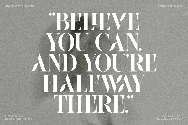 Raving - Editorial Display Serif Font