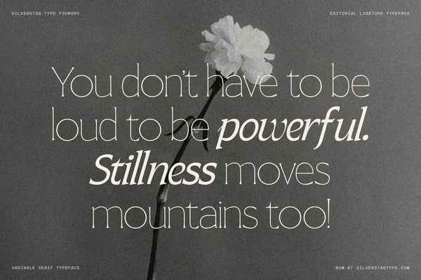 SLTF Arcilla specimen combining Light and Bold Italic weights — the quote You don't have to be loud to be powerful. Stillness moves mountains too! set across multiple lines with weight contrast creating typographic emphasis. A black and white carnation photograph as background. Arcilla in wellness, editorial, and lifestyle branding contexts.