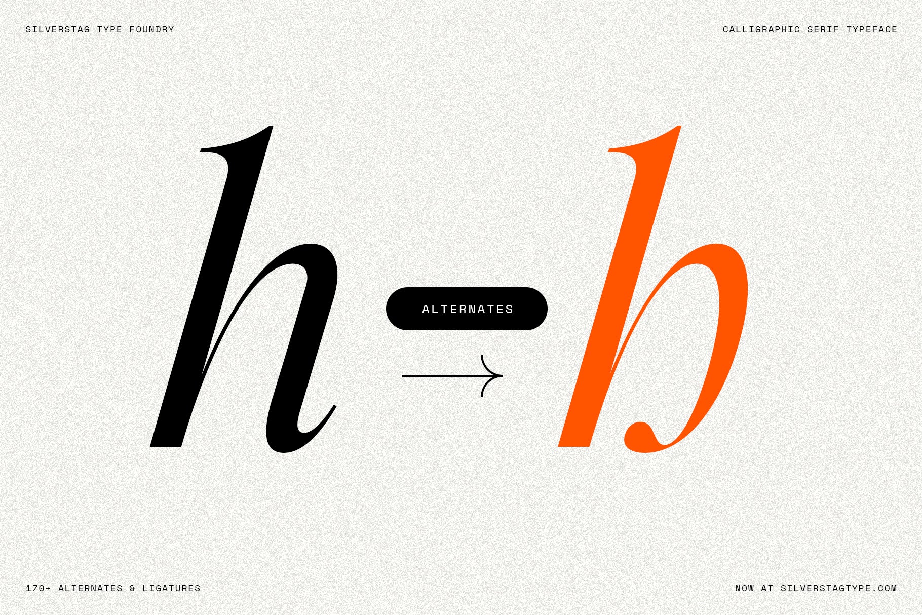 SLTF Netsera - Calligraphic Serif Typeface