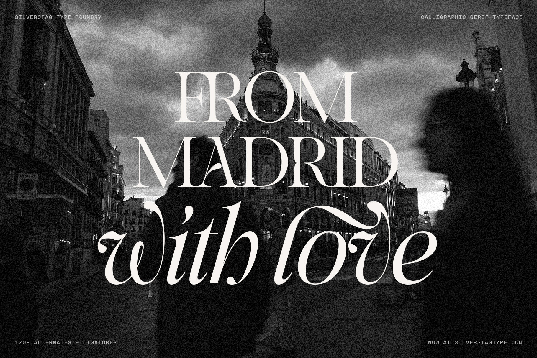 SLTF Netsera - Calligraphic Serif Typeface